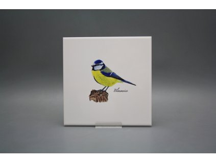 Obklad 20x20cm Modřinka WM č. 1