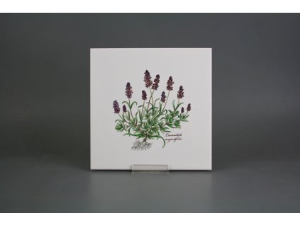 Sada obkladů 20x20cm 6dílná Herbs Classic WM č. 1