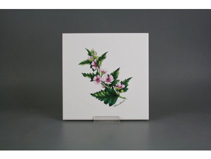 Sada obkladů 20x20cm 6dílná Herbs WM č. 1