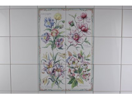 Obklad 30x45cm BOTANICAL PLANTS BM č. 1