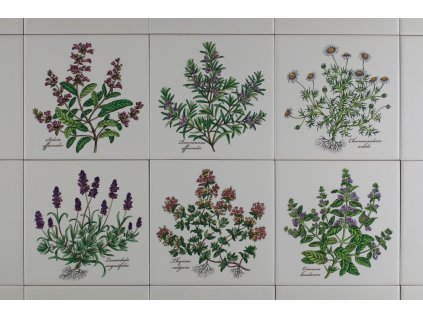 RCOBEM SADA OBKLADŮ RAKO COLOR ONE 15X15 HERB CLASSICS 6DÍLNÁ LBM