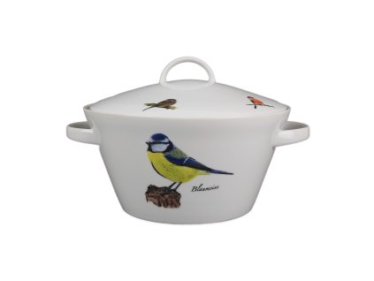 TOMPTS TERYNA TOM MODŘINKA BB 1