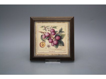 Obrázek 18x18cm Fruta kTHB č. 1