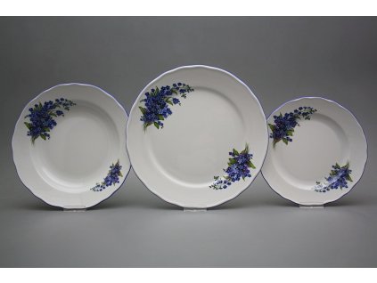 Talířová souprava Rokoko Pomněnky 12dílná DAL č. 1