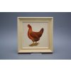 Obrázek 19,5x19,5cm Slepičky cPBB č. 8