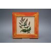 Obrázek 20x20cm Herbs eCMB č. 4
