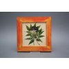 Obrázek 20x20cm Herbs eCMB č. 6