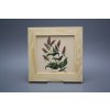 Obrázek 20x20cm Herbs ePBB č. 3