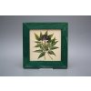 Obrázek 20x20cm Herbs eZLB č. 3