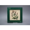 Obrázek 20x20cm Herbs eZLB č. 6