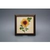 Obrázek 18x18cm Slunečnice kTHB č. 1