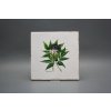Sada obkladů Forli Blanco 20x20cm 6dílná Herbs č. 2