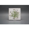 Sada obkladů Forli Blanco 15x15cm 6dílná Herbs Classic č. 2