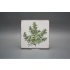 Sada obkladů Forli Blanco 15x15cm 6dílná Herbs Classic č. 3