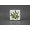 Sada obkladů 15x15cm 6dílná Herbs Classic WM č. 2