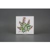 Sada obkladů 15x15cm 6dílná Herbs Classic WM č. 4