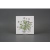 Sada obkladů 15x15cm 6dílná Herbs Classic WM č. 6