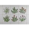 Sada obkladů 15x15cm 6dílná Herbs Classic WM č. 1