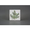 Sada obkladů 15x15cm 6dílná Herbs Classic WL č. 4