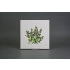 Sada obkladů 20x20cm 6dílná Herbs Classic WL č. 4