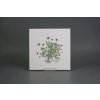 Sada obkladů 20x20cm 6dílná Herbs Classic WM č. 2