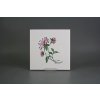 Sada obkladů 20x20cm 6dílná Herbs WM č. 2