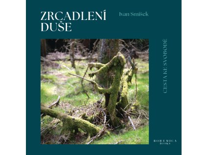 zrcadleni duse obalka