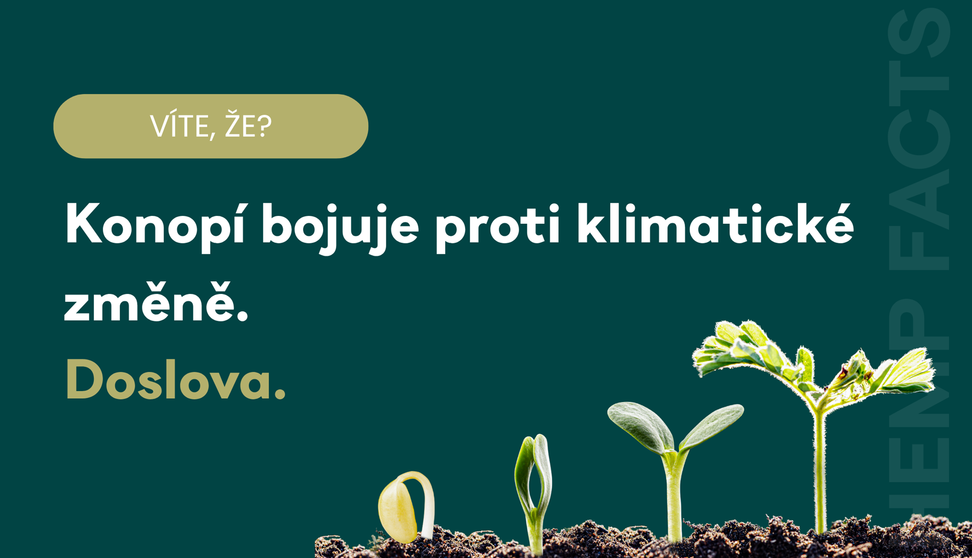 Konopí: skromná rostlina s velkým dopadem