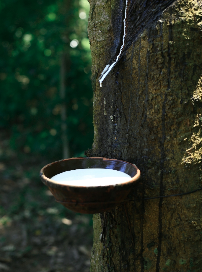 NATURAL RUBBER