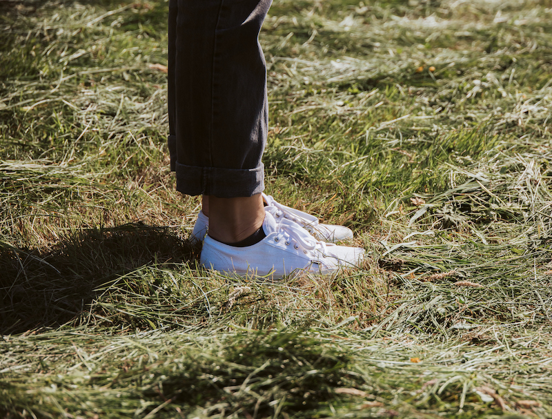 The positive impact of hemp on global warming