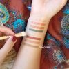 recharge gypsy palette ombre a paupieres bio 244 discovery (1)