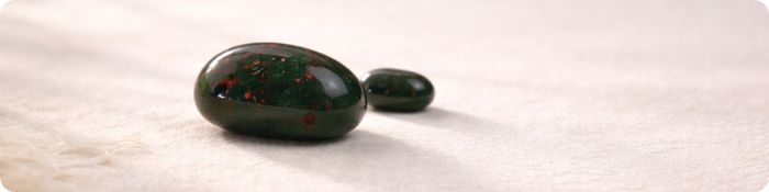 Heliotrop tromlovaný