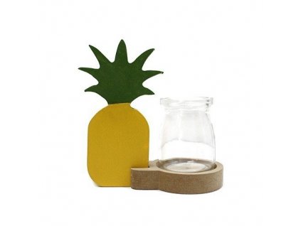 hydroponicke dekoracne kvetinace ananas