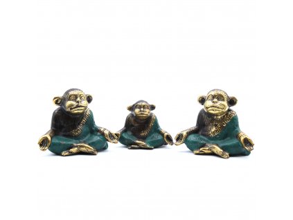 meditujuce opice