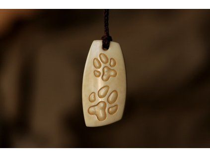 Dvojtlapka hranatá - kost