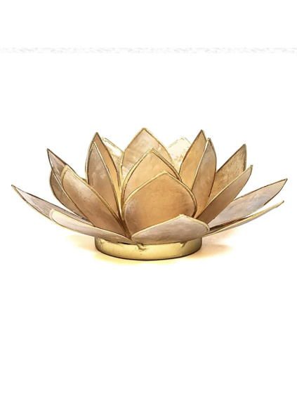 Snímek obrazovky 2025 11 30 v 9.08.38