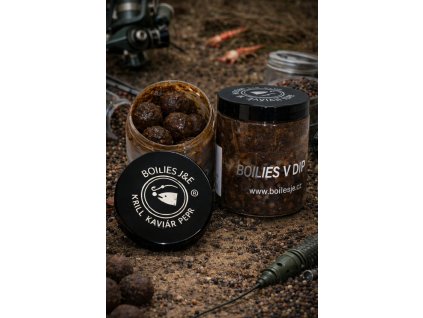 obrázek 2026 01 16 080605751