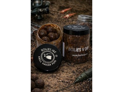 obrázek 2026 01 16 091938065