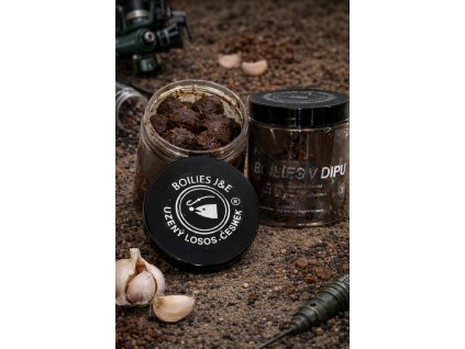 obrázek 2026 01 16 084109768