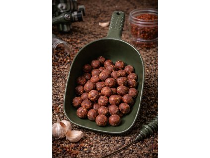 obrázek 2026 01 16 084643094