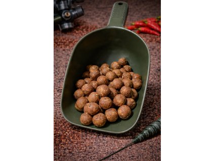 obrázek 2026 01 16 093127825