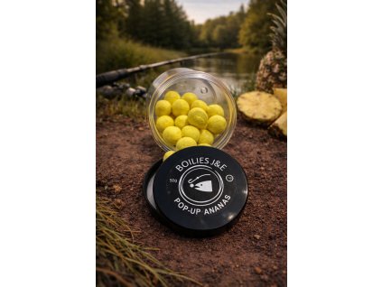 obrázek 2026 01 16 114013576