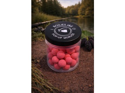 obrázek 2026 01 16 120227216