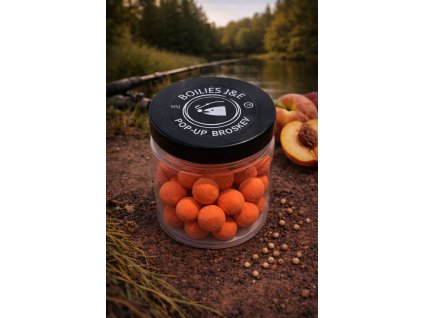 obrázek 2026 01 16 115330995