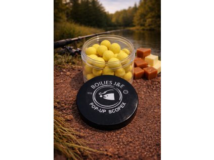 obrázek 2026 01 16 120815975