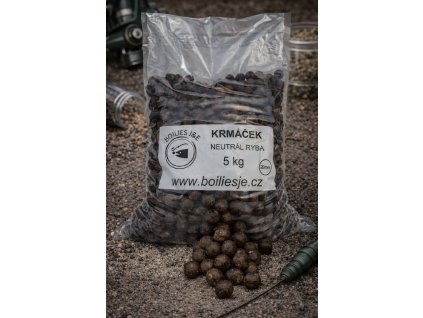 obrázek 2026 01 16 085009256