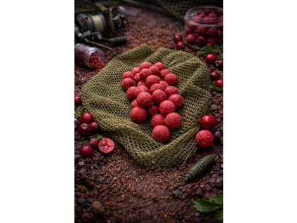 obrázek 2026 01 29 200713364