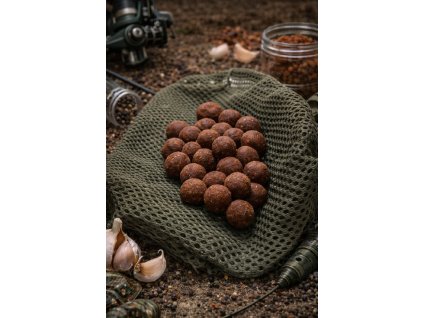 obrázek 2026 01 16 083524826