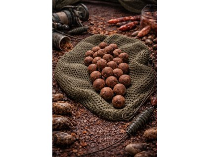 obrázek 2026 01 29 200955404