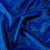 Hologramová královská modrá plavkovina